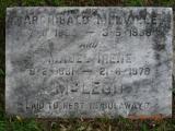 image of grave number 443476